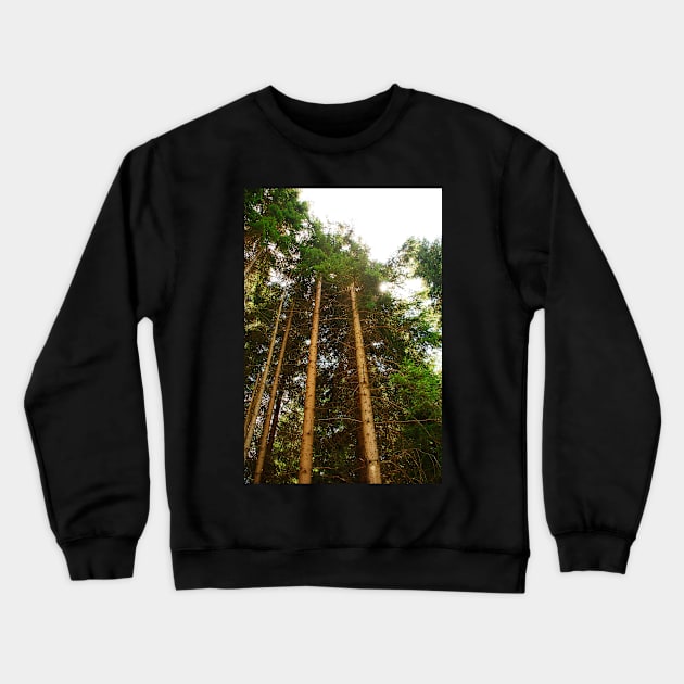 Pine Tree Trunks Crewneck Sweatshirt by jojobob